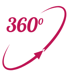 The EVOLANGUAGE Rapid Immerse Method